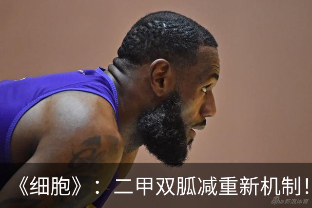 《细胞》：二甲双胍减重新机制！斯坦福团队首次发现，肠道转运蛋白MCT6是关键所在