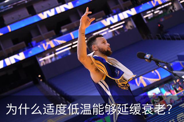 为什么适度低温能够延缓衰老？